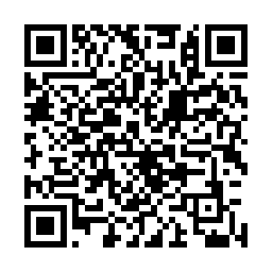 被梓箐咬了手的梁可要求梓箐跪下道歉以及赔偿医药费等等二维码生成