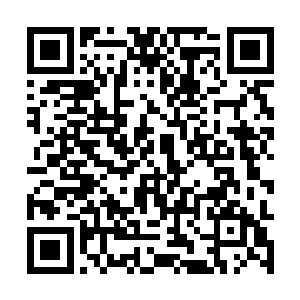被楚旬命名为1号的异形人也瞬间出现在了房间之中二维码生成