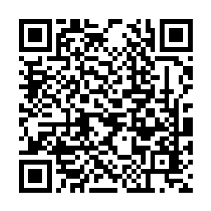 被派来给阿武送午饭的医务人员是新来的年轻医生二维码生成