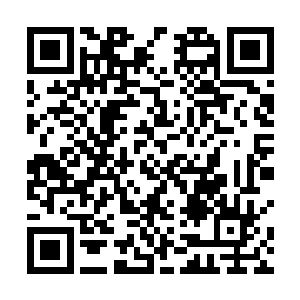 被流墨墨身周的血妖姬之力好像长鲸吸水一般吞吃入腹二维码生成