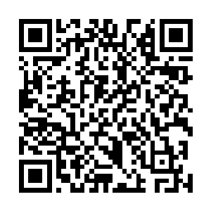 被激发了凶性的林锐和阿虎两个人顾不上身边纷飞的弹雨二维码生成