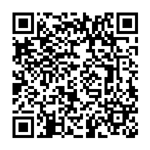 被火药炸的烂糟糟的城池里想要找出一块平坦的土地整军非常的难二维码生成