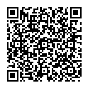 被火针包围着的修神期修士眼见着全身着火的炼虚期修士落入到赤妖张开的大嘴中二维码生成