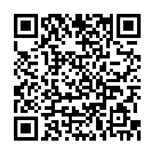 被点到名字的杰里梅斯抬起头来看着希斯菲尔德二维码生成