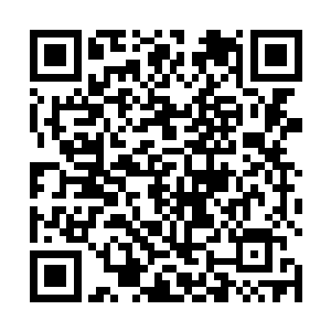 被狸子割断绳子掉落在地上的那五个人已经不见了踪影二维码生成