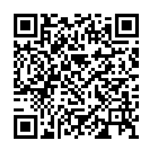 被白莲教主抓住的秦林仍在一个劲儿朝他使眼色二维码生成