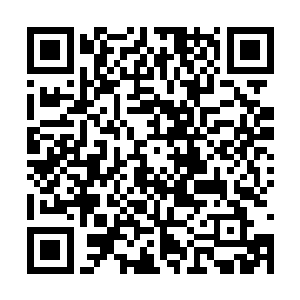 被秦方那狂暴的掌力直接真的内腑受创更加严重了二维码生成