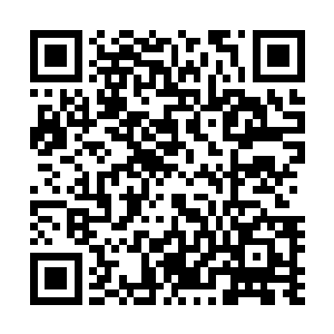 被秦海派去跟着秦念和余平安的那个佣人战战兢兢地走出来二维码生成