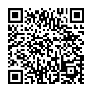 被称为克洛斯队长的佣兵原本暴怒的状态迅速的冷静了下来二维码生成