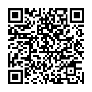 被称为周护法的中年男子又是一板栗敲在憨厚青年的额头上二维码生成