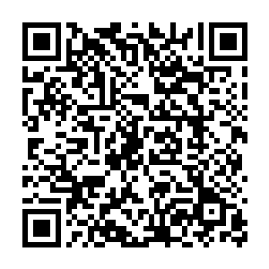 被称作是超级学霸美女辅导员老师的王雅君竟然为了逼自己给她拍二维码生成