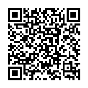 被程珈澜各种好茶养叼了胃口的薄荷内心里流着泪二维码生成