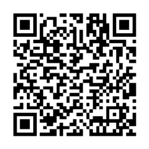 被红牌罚下对于伊布拉希莫维奇来说也不是什么稀奇的事情了二维码生成