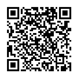 被结界笼罩的凌雪鹫就出现在了他们二人的视线中二维码生成