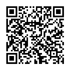 被自家姐姐吆喝着一会儿将河蚌壳扔到鸭棚去给鸭子吃二维码生成