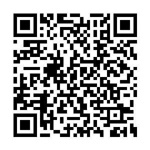 被自己撕碎的巴尔赫瞬间在祭坛内部完成了复活二维码生成