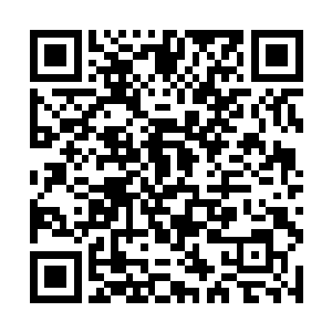 被舞步踏乱的积雪和被鲜血染红的土地很快又被遮掩二维码生成