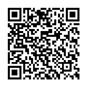 被艾伦以女性独有的细心从毛发上看出了些破绽二维码生成