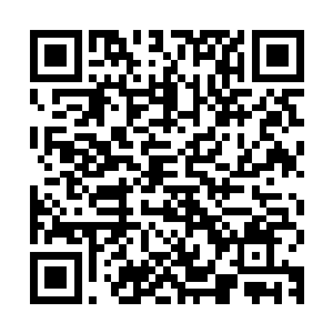 被苏庆元一剑给挑断骨头的归梦大师看见王宏轩迎面而来的手掌二维码生成