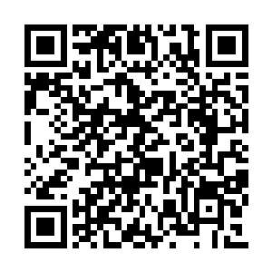 被藤蔓束缚住的半透明人影有着一双死寂的眸子二维码生成