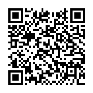 被血炼匆忙祭出的那防护秘宝竟没能起到半点作用二维码生成