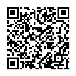 被血腥冤魂包裹缠绕的流墨墨却是露出惬意神情二维码生成