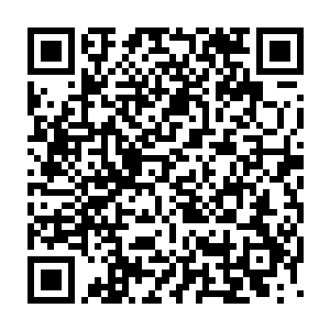 被认为是除了秦渭之外没有人能够召集得起来的强大无匹的演员阵容二维码生成