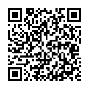 被赠予的梦境之羽将整个实验室都带到了梦境世界的地点二维码生成
