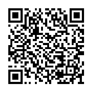 被轩辕水君命名为道魂仙岛的宗门也有弟子数千二维码生成