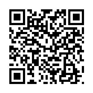 被这么多校领导和政fu官员们盯着二维码生成