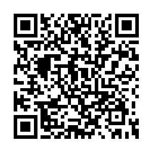 被这么真正的强者保护在怀中的感觉是如此美好二维码生成