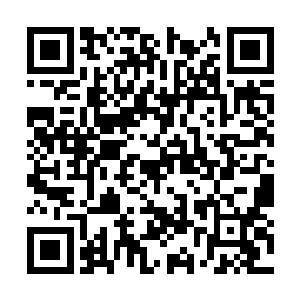 被迷惑的苏庆元与王宏轩两个人立刻就是清醒过来二维码生成