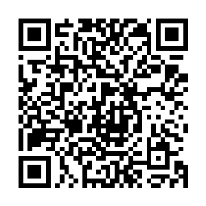 被追捕或者处在绝境中的斑鬣狗会发出高音调及咯咯的笑声二维码生成