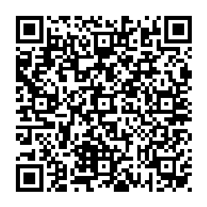 被送到美国的另外一所学校……家里只有一个佣人……我偷拿司机的身份证去酒吧二维码生成