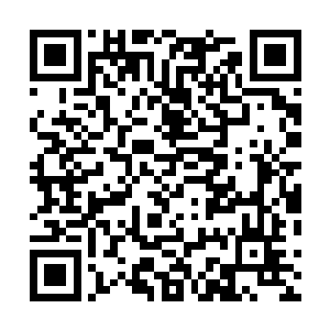 被逼到墙角苦苦抵挡的黄毛这才抬头发现原来是莫凡来了二维码生成