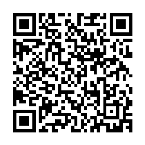 被道德宫那位拥有八卦镇元殿仙宝的大乘老祖抛入这深渊海域二维码生成