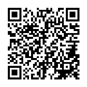 被闻讯赶来的武装安保公司干净利落的介入解决了二维码生成