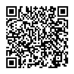 被雪如楼抱在怀里的流墨墨的神识正警惕而小心的沿着那能量壁蔓延出去二维码生成