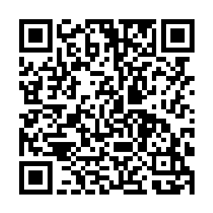 被面前曾经熟悉的同伴投来齐刷刷复杂而同情的目光二维码生成