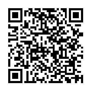 被颜洛儿和莫崎激活的血妖姬之力凶猛的倒灌入流墨墨体内二维码生成