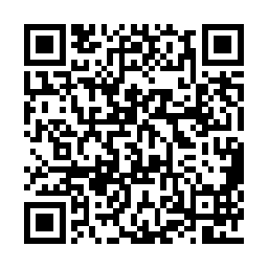 被颜洛儿处理过的萌星顿时像是看到后妈的离去二维码生成