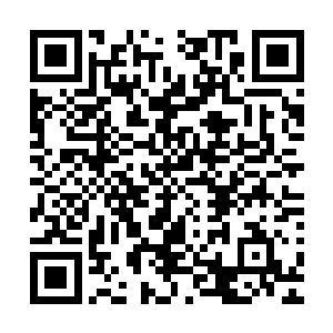 被飞章拍了一巴掌才想起来那小孩可不是真正的普通人类小孩二维码生成