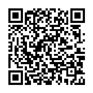 被龙傲天灭掉的门派就已经有天圣宗和血魔宗了二维码生成