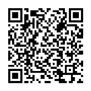 袭击的作战方法打击敌人的一种非正规的武装组织二维码生成