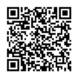 袭灭月和司末萧三人看着夜染的目光是闪啊闪啊二维码生成