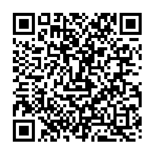 裁判立即打开了色盅开始清点的点数了……好几台高清摄像机都瞄准了这些色子二维码生成