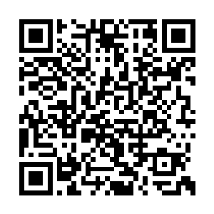 裂地战虎王的尾巴如同击碎长空的钢鞭甩击而来二维码生成