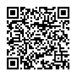 裂风狼王的这种变化是非常可喜的……无论是秦方二维码生成