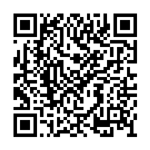 装作无意的模样来到石化肉瘤跟前随意耳朵一指二维码生成