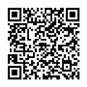 装出一副心领神会但是却又没听出其中深藏含义的模样二维码生成
